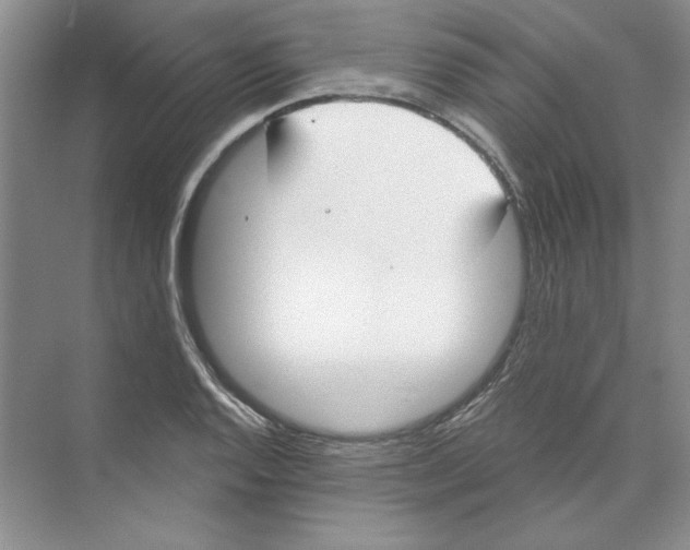 X0000074321128200609230019