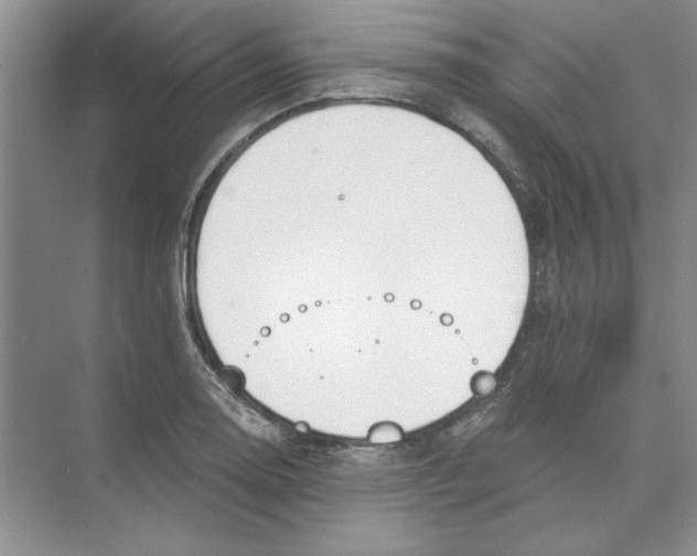 X0000074321130200609230019