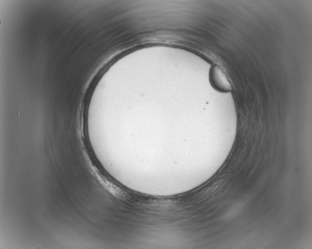 X0000074321131200609230019