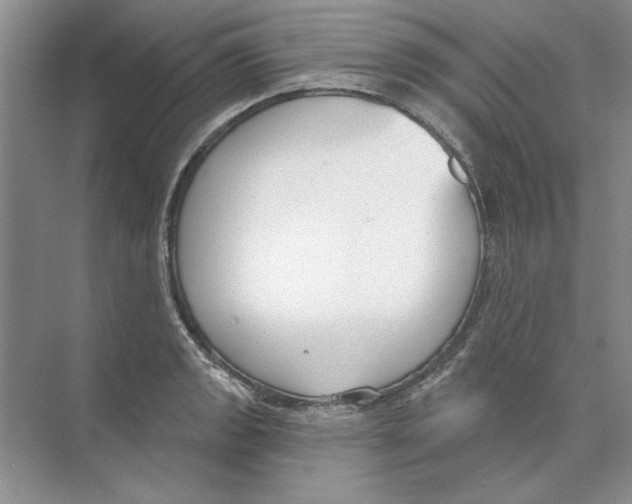 X0000074321133200609230020