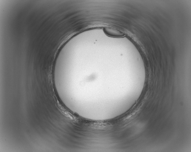 X0000074321137200609230020