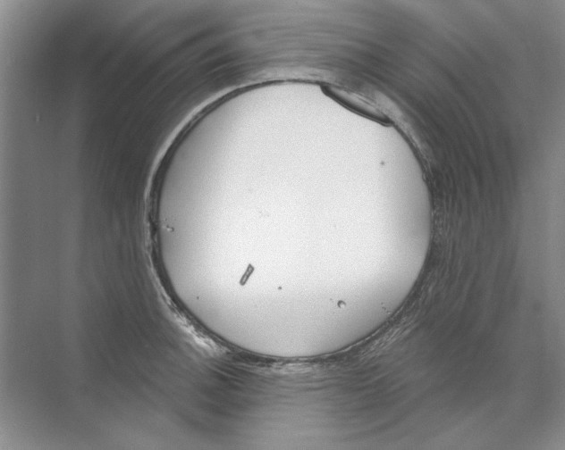 X0000074321140200609230020