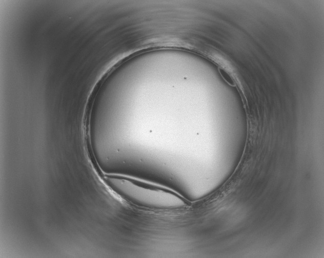 X0000074321141200609230020