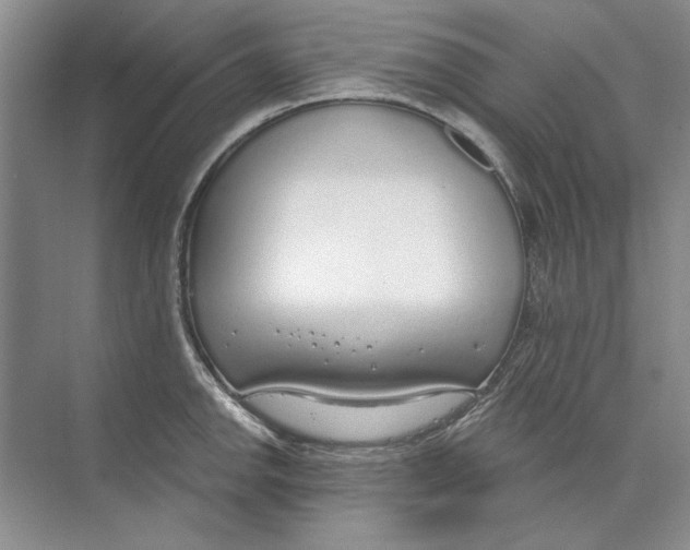 X0000074321142200609230020