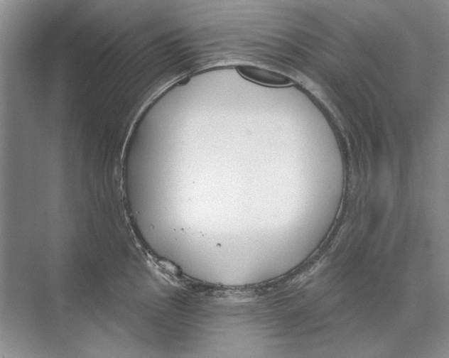 X0000074321145200609230020