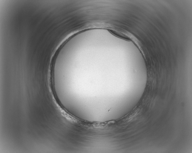 X0000074321147200609230020