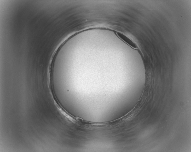 X0000074321151200609230020