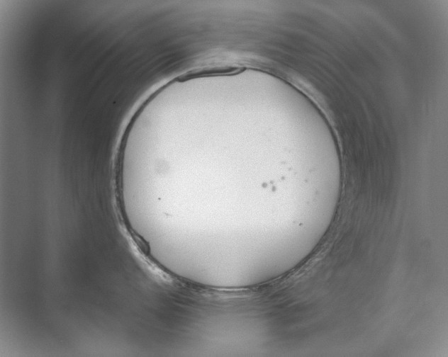 X0000074321152200609230020