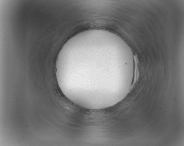 X0000074321153200609230019