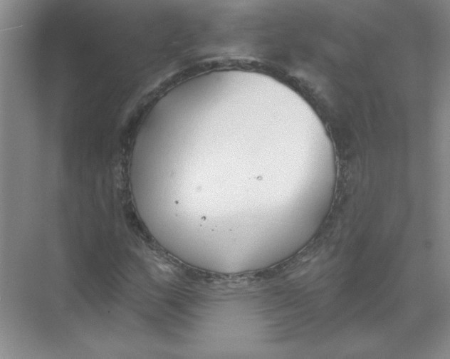 X0000074321159200609230019