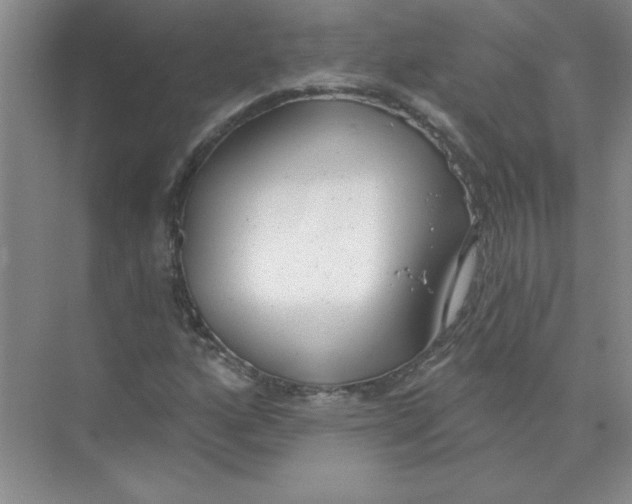 X0000074321160200609230019