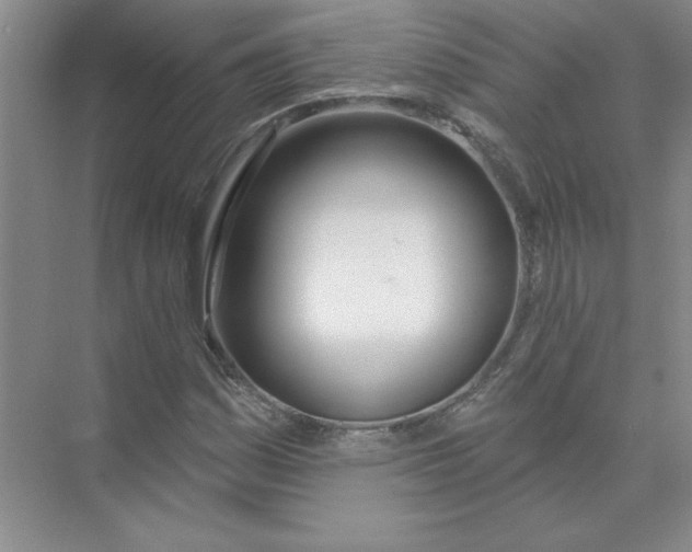 X0000074321161200609230019