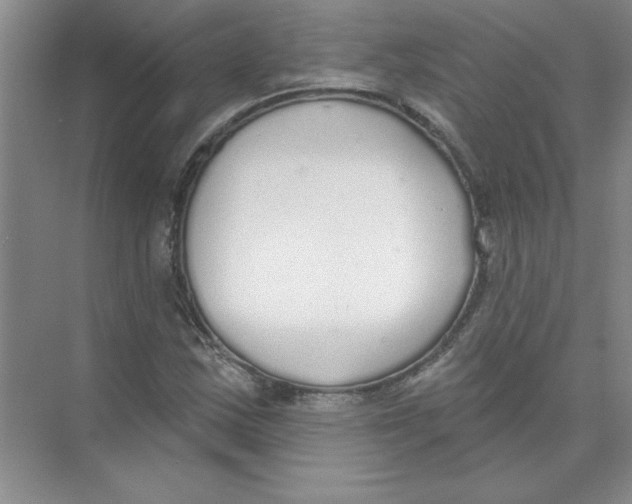 X0000074321163200609230019