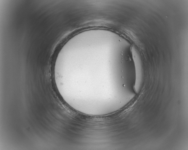 X0000074321164200609230019