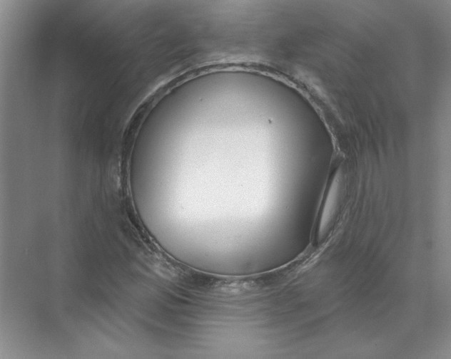 X0000074321165200609230019