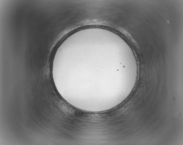 X0000074321167200609230019