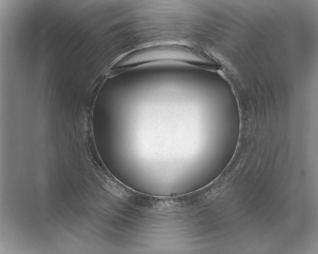 X0000074321169200609230019