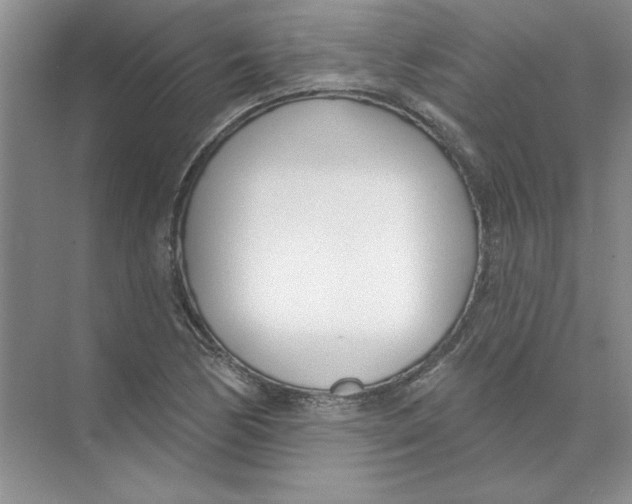 X0000074321170200609230019