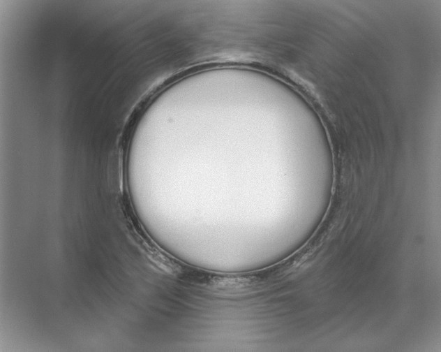 X0000074321171200609230019