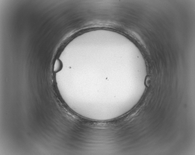 X0000074321172200609230019