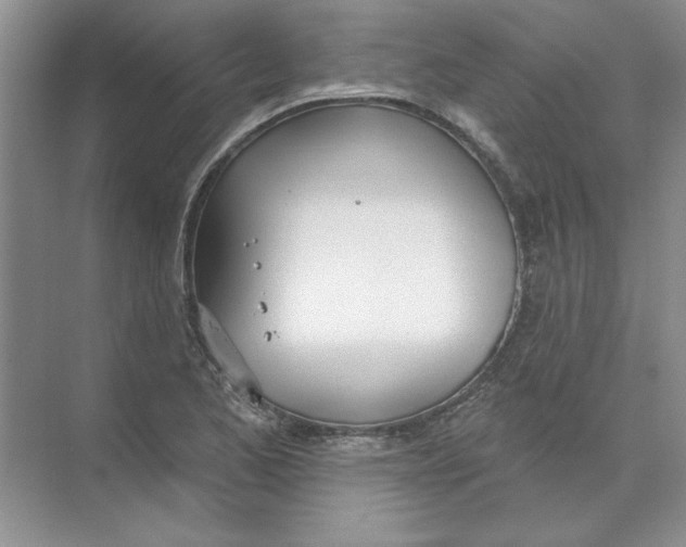 X0000074321173200609230019