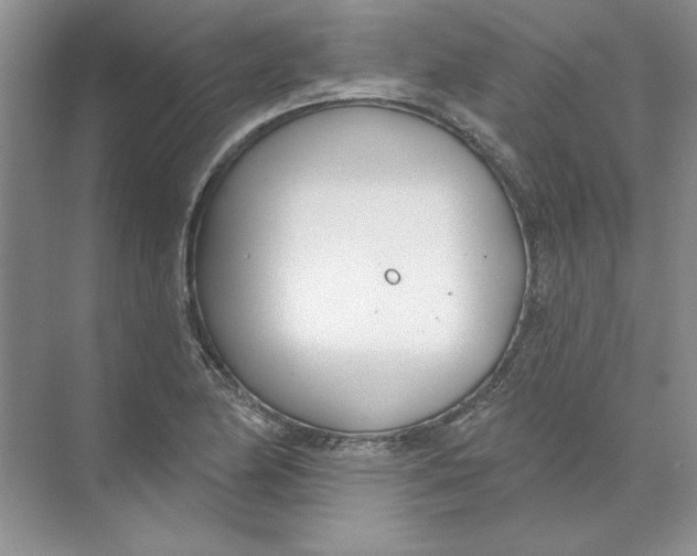 X0000074321174200609230019