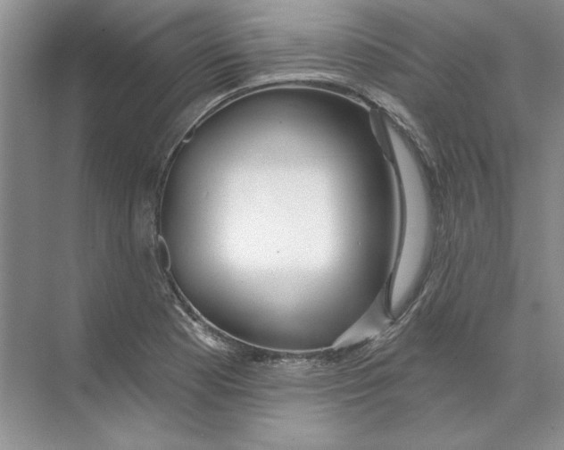 X0000074321177200609230019