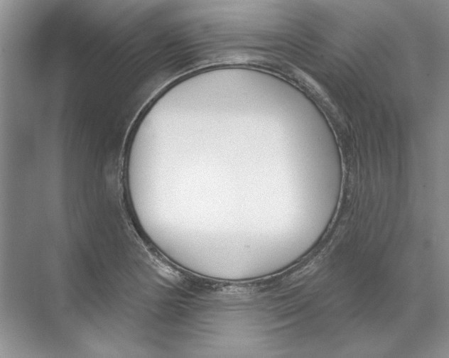 X0000074321178200609230019