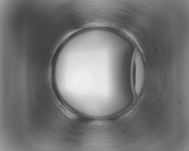 X0000074321179200609230019