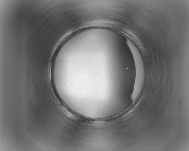 X0000074321180200609230019