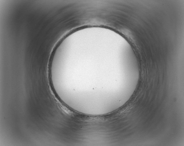 X0000074321183200609230019