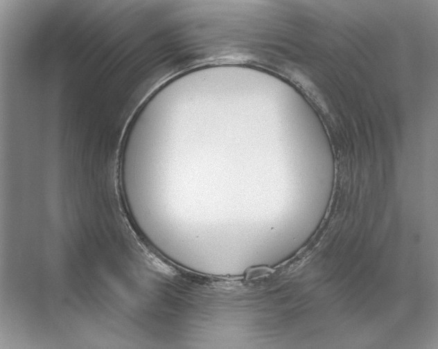 X0000074321186200609230018