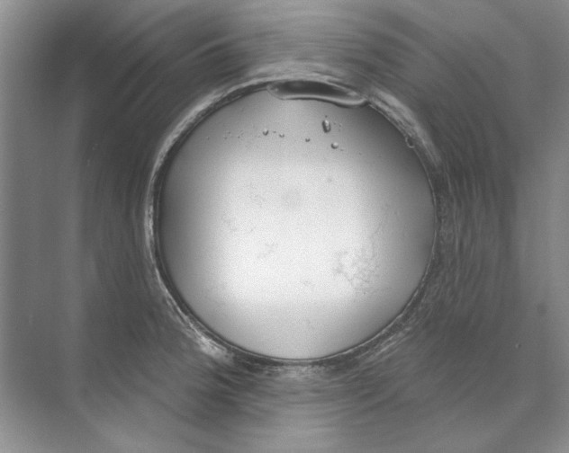 X0000074321188200609230018