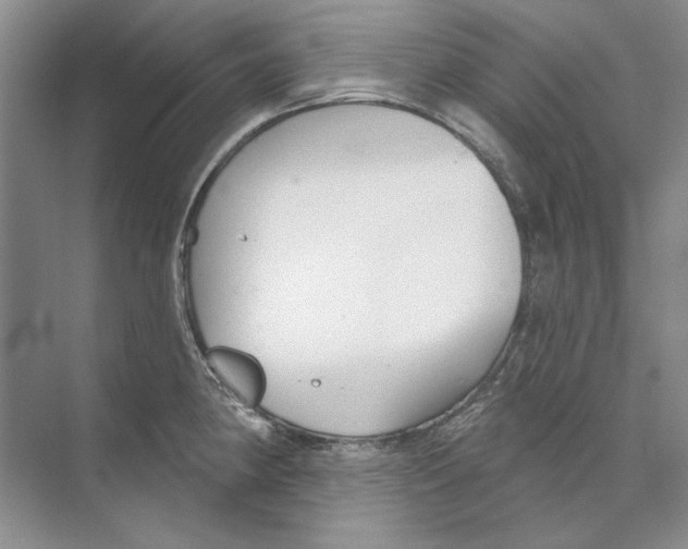 X0000074321190200609230018