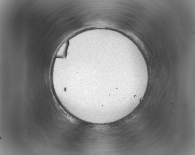 X0000074321191200609230018