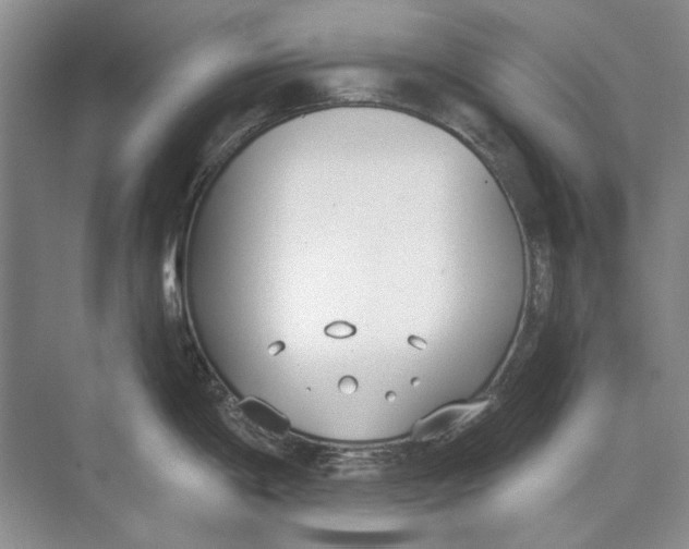 X0000074321198200609230018