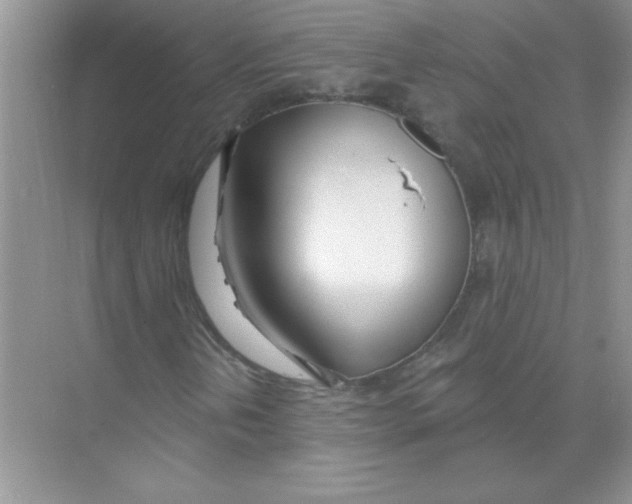 X0000074321202200609230017