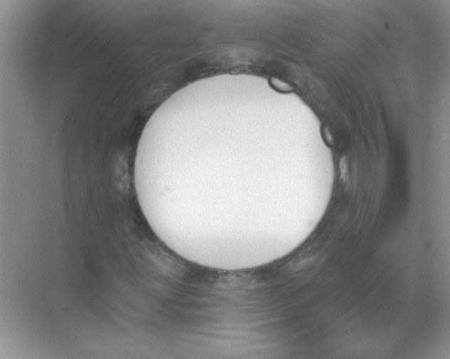 X0000074321203200609230017