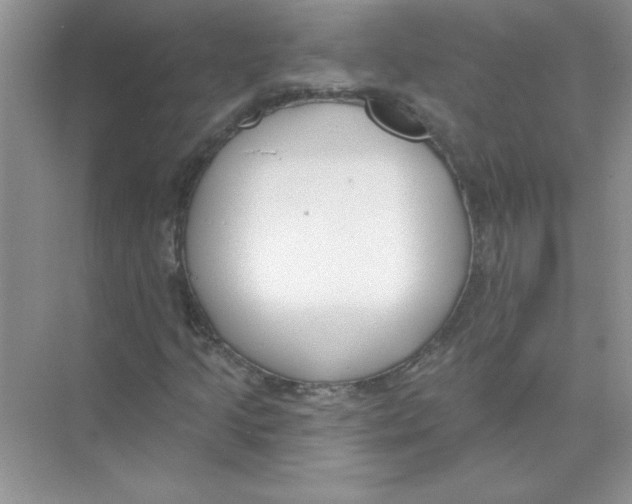 X0000074321205200609230017