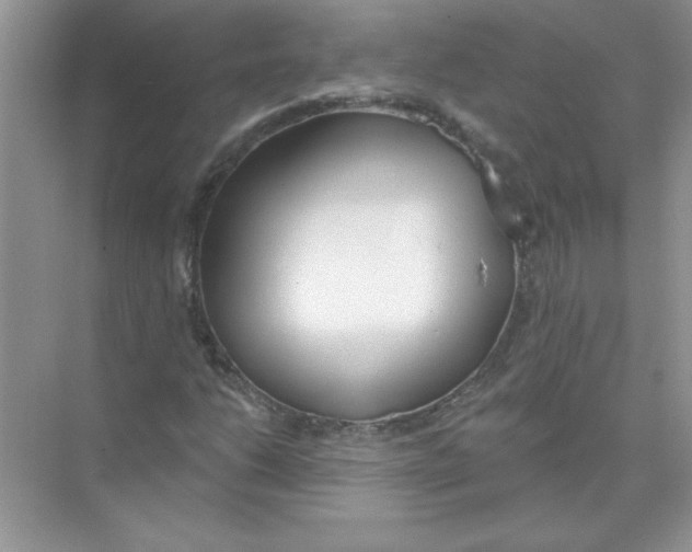 X0000074321206200609230018