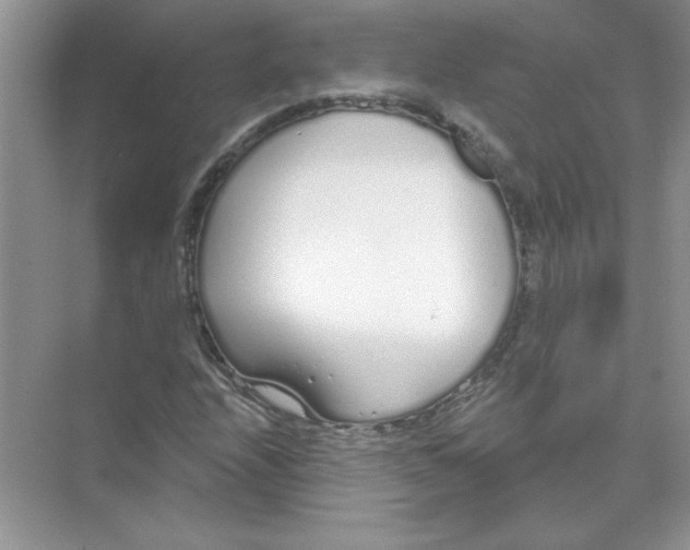 X0000074321208200609230018