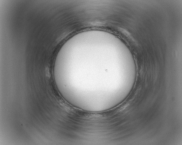 X0000074321209200609230018