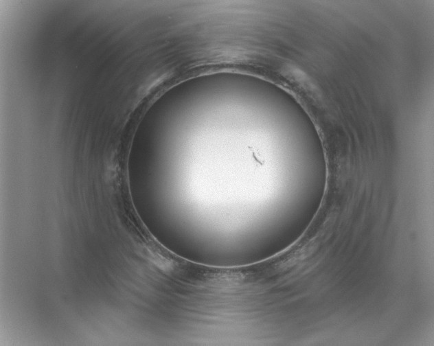 X0000074321210200609230018