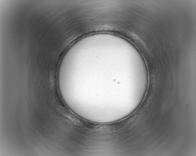 X0000074321217200609230018