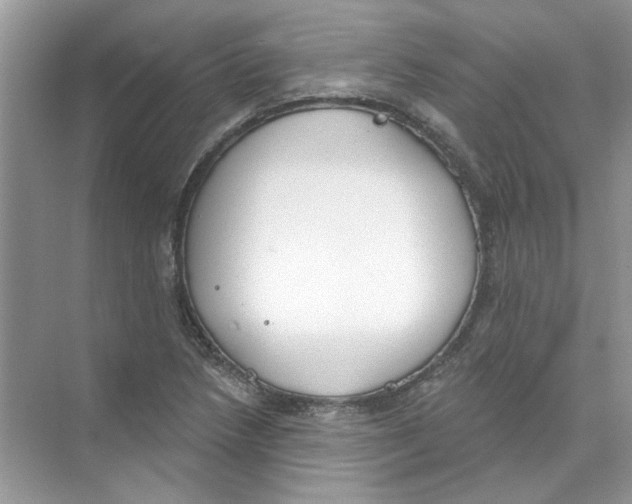 X0000074321218200609230018