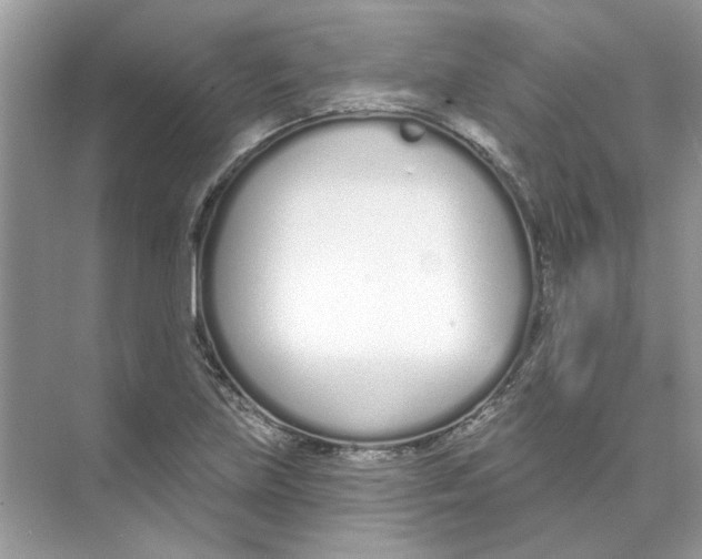 X0000074321219200609230018