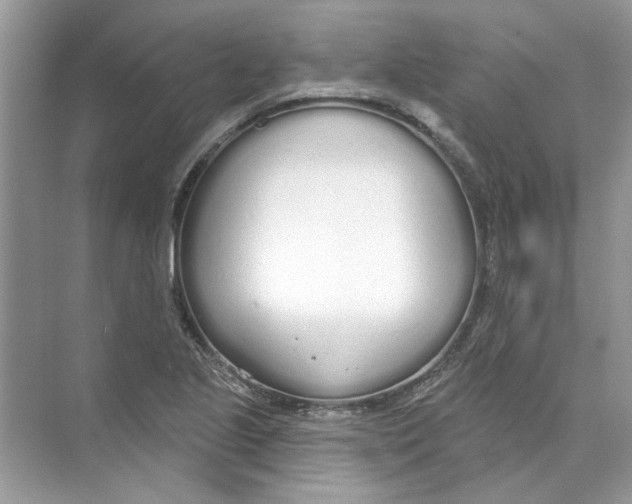 X0000074321221200609230018