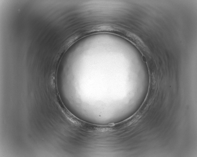 X0000074321225200609230018