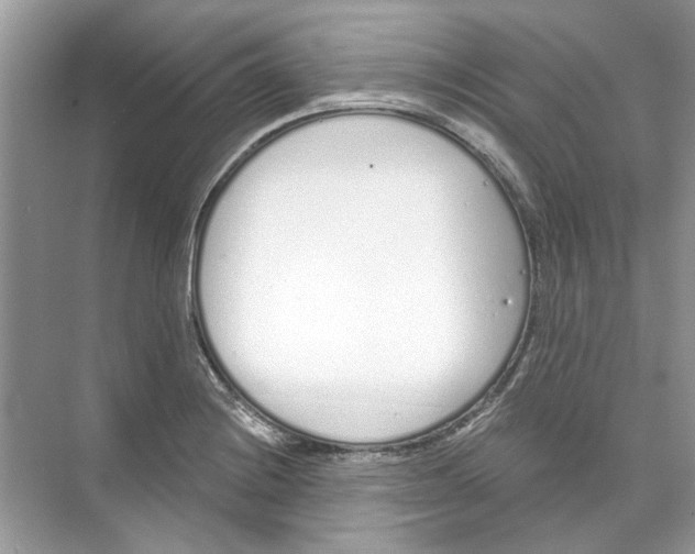 X0000074321228200609230018