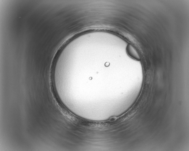 X0000074321229200609230018